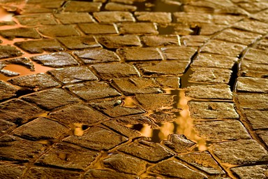 André Meurer; After the Rain